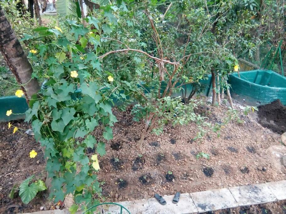 Bhitey Homestay Simantapally / Shantiniketan Экстерьер фото
