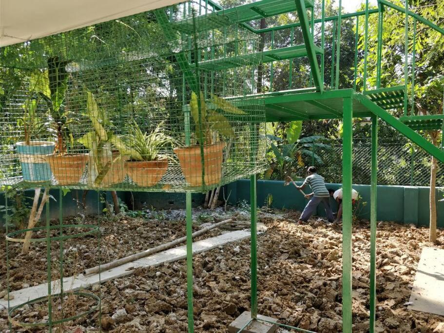 Bhitey Homestay Simantapally / Shantiniketan Экстерьер фото